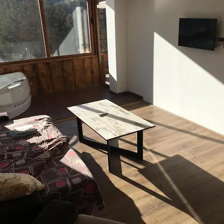 Holiday home Palace Berovo