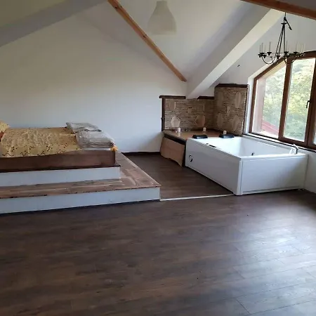 Holiday home Palace Berovo